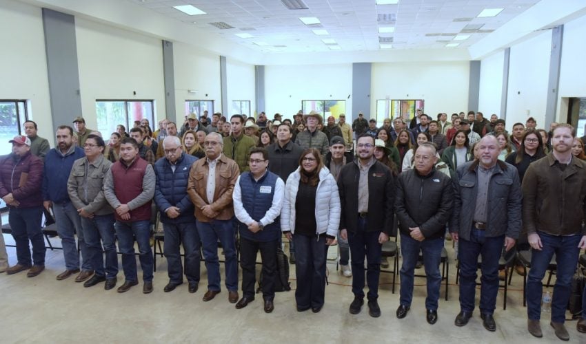 Impulsa Tamaulipas respuesta temprana para contener al gusano barrenador