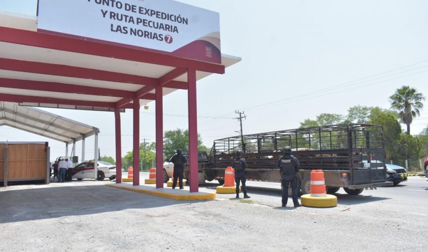 Fortalece Tamaulipas puntos de vigilancia a favor del estatus sanitario