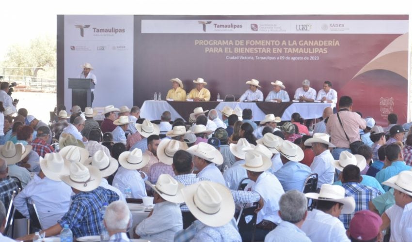 Arranca programa de Fomento a la Ganadería para el Bienestar en Tamaulipas