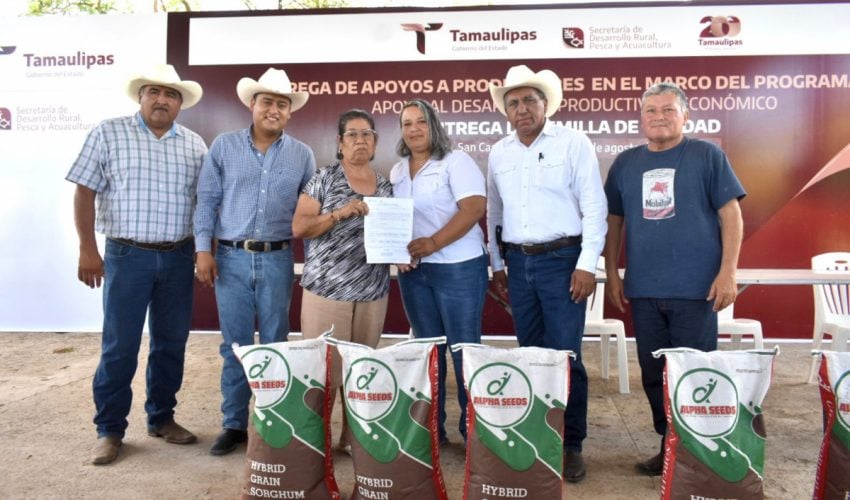 Impulsa Tamaulipas siembra de sorgo y maíz con la entrega de semilla de calidad