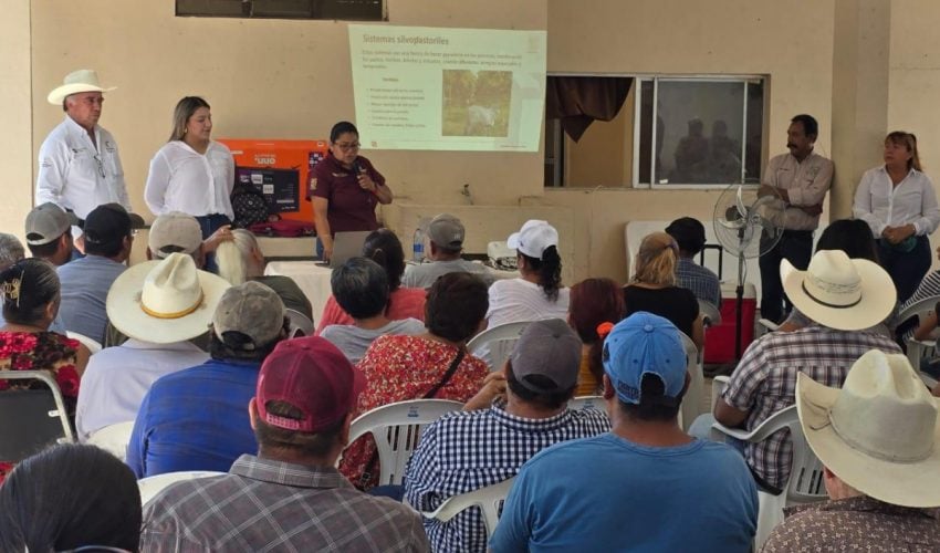 Presenta Desarrollo Rural programas de apoyo para productores agropecuarios y forestales de Abasolo