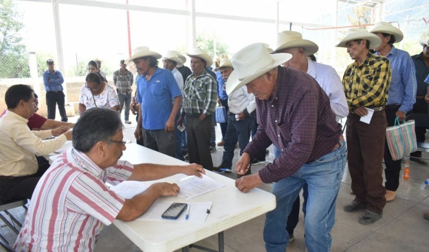 Abren ventanillas para Apoyo Estatal Extraordinario a productores agrícolas