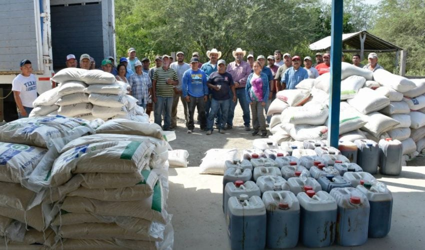 Mejoran producción pecuaria con la entrega de 13 toneladas de paquetes tecnológicos