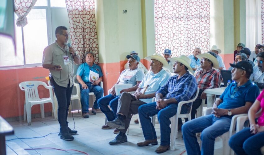 Brindan a productores herramientas para mejorar la fertilidad de los suelos citrícolas