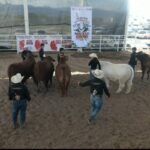 Con tradición y convivencia, celebran el Concurso del Novillo Gordo