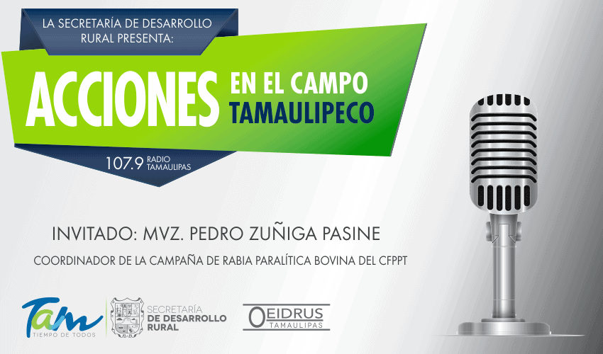 “Acciones en el Campo Tamaulipeco” Invitado: MVZ Pedro Zuñiga Pasine, Coordinador de la Campaña de Rabia Paralítica Bovina del Comité para el Fomento y Protección Pecuaria de Tamaulipas A.C.