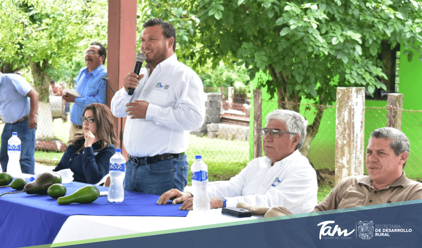 Gobierno del Estado coadyuva con productores para incrementar la producción de Aguacate