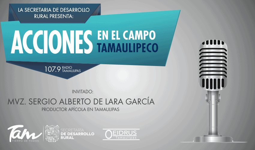 Programa “Acciones en el Campo Tamaulipeco” Tema: Apicultura en Tamaulipas