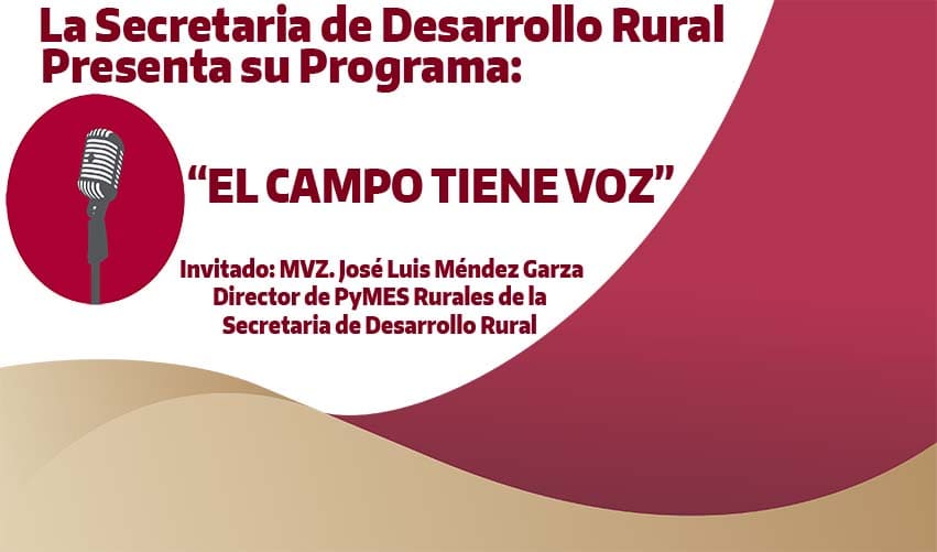 TEMA: PYMES RURALES