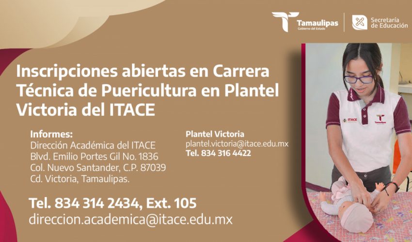 Carrera Técnica de Puericultura en ITACE