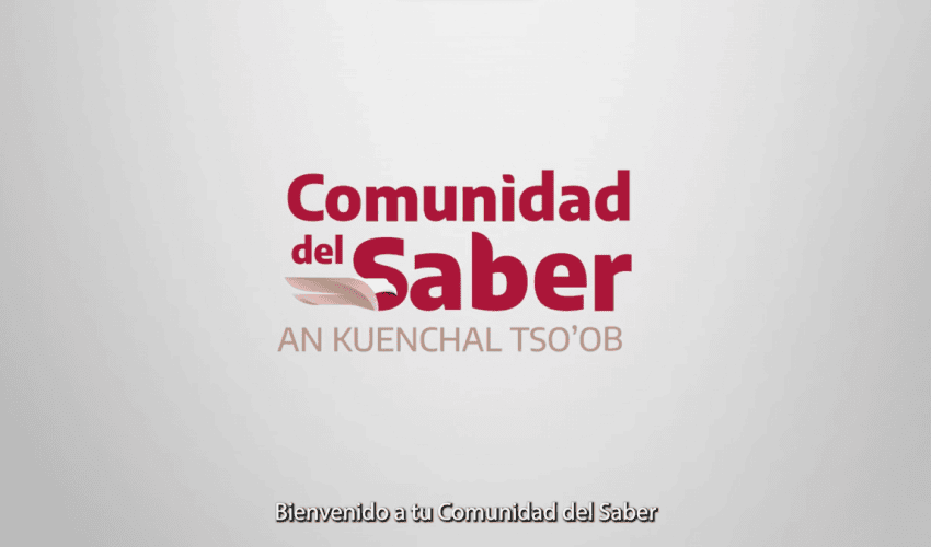 Video: Comunidad del Saber