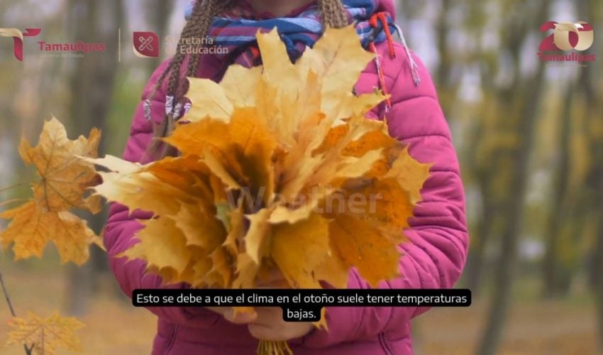 Video: Coordinación de Inglés, denominado “Autumn”