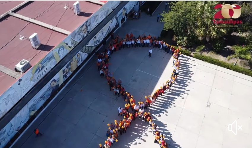 Video: Día Mundial de la Eliminación de la Violencia Contra las Niñas y las Mujeres