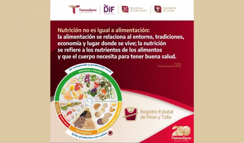 Alimentación no es nutrición