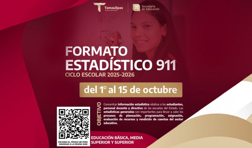 Formulario Estadístico 911