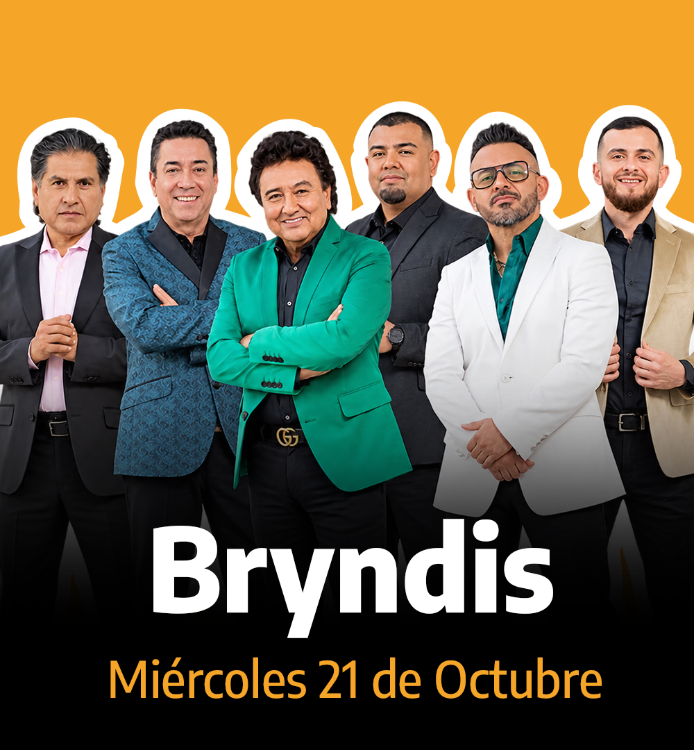 Grupo Brindys