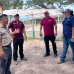 Refuerzan vigilancia y protección de tortugas marinas en campamentos de Tamaulipas