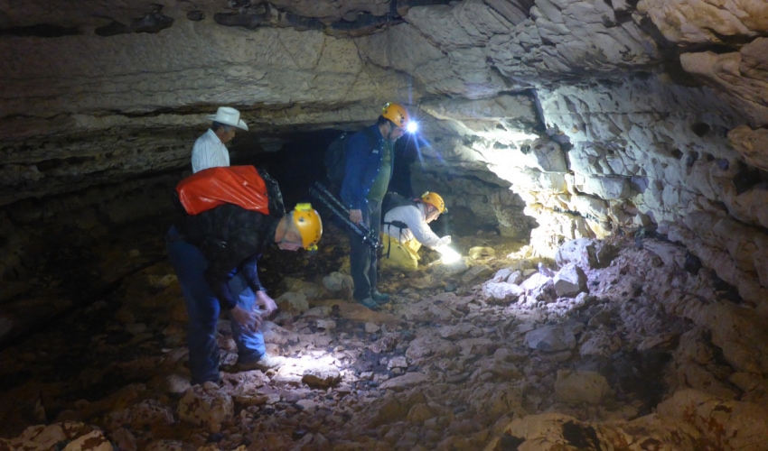 Las cuevas de Tamaulipas: una prioridad para la conservación y aprovechamiento sustentable