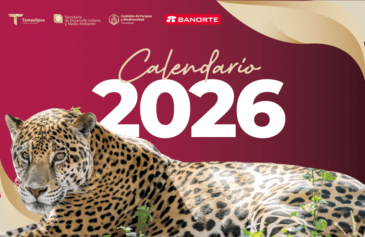 Calendario 2026