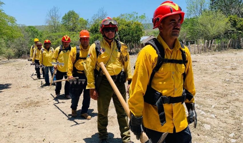 Atiende Protección Civil Tamaulipas dos incendios forestales en Jaumave