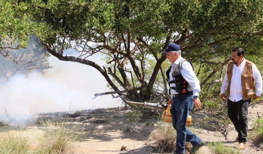 Fortalece SST acciones contra el dengue y pide eliminar criaderos