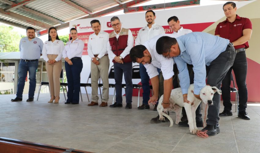 Pide SST vacunar perros y gatos en el marco de la Jornada de Vacunación Antirrábica