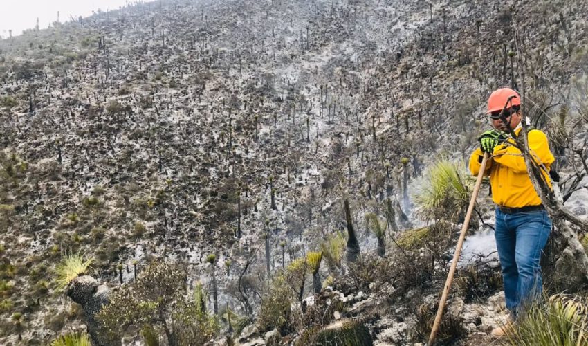 Apoya Protección Civil del Estado en control de incendio forestal en Bustamante