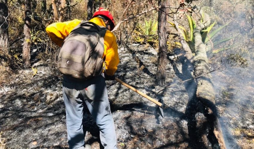 Protección Civil Tamaulipas, CONAFOR  y habitantes del sector unen esfuerzos para contención de incendio forestal en Miquihuana