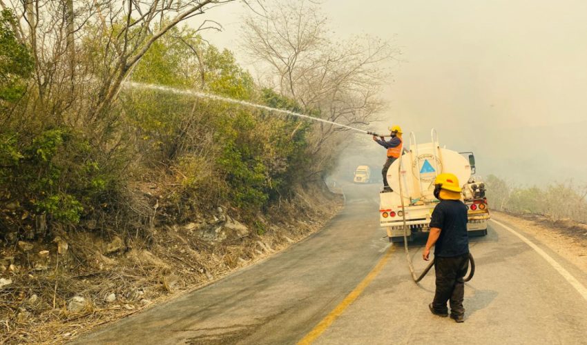Atiende Protección Civil Estatal incendio forestal en Nuevo Morelos
