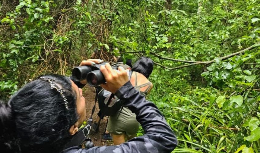 Observan aves de la Reserva de la Biósfera El Cielo