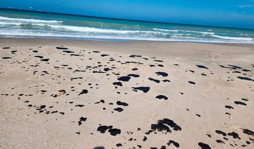 Vigilan Gobierno Federal y SEDUMA presencia de hidrocarburo en playas de Tamaulipas