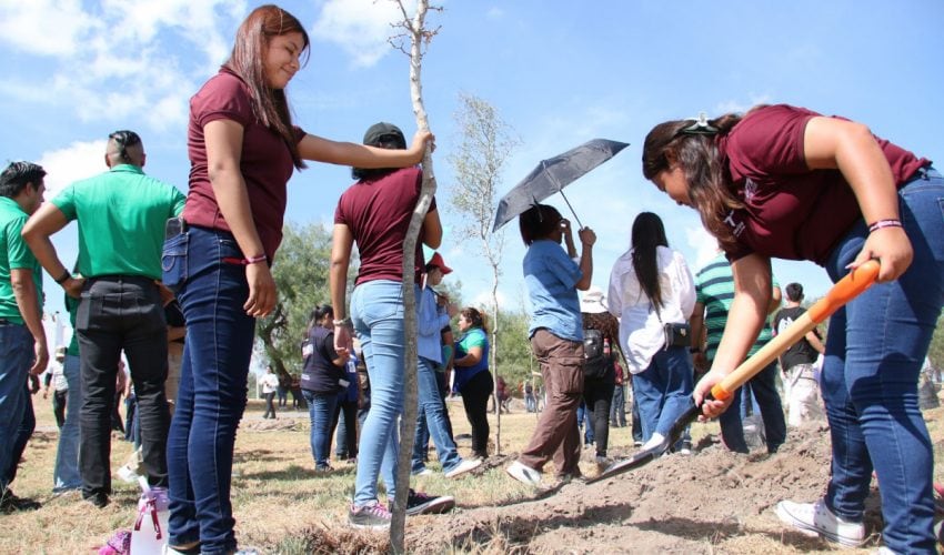 Impulsa SEDUMA educación ambiental y reforestación en Reynosa