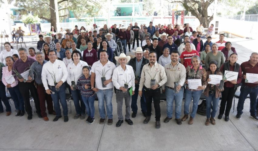 Prepara SEDUMA a guardianes para proteger las cactáceas