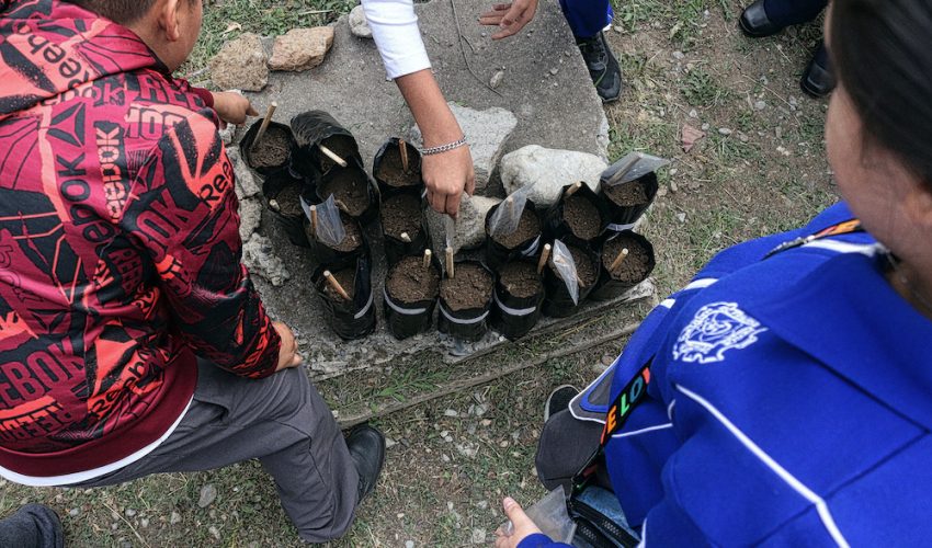 Inician niñas y niños travesía ambiental con Viveros Escolares