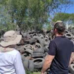 Avanza SEDUMA en trituración de llantas para reducir la contaminación en Reynosa