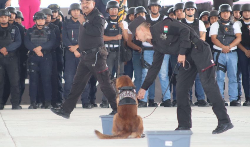 Efectúan en la USJT exhibición de agrupamientos canino y montada de la SSPT