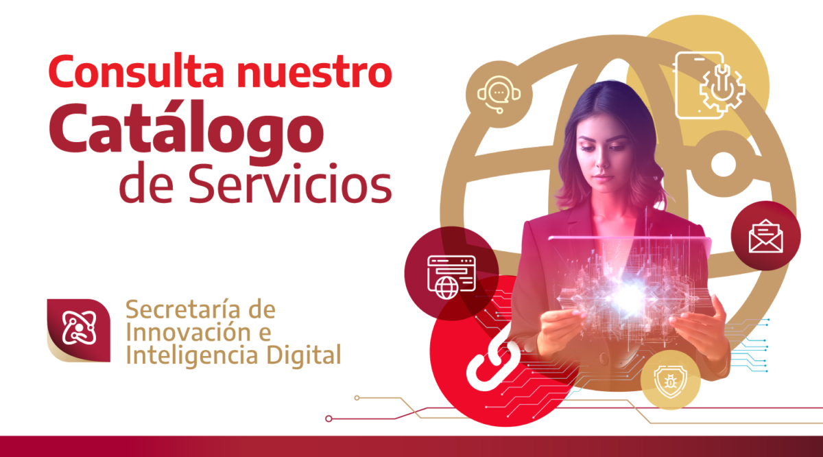 Catálogo de servicios AIIDT