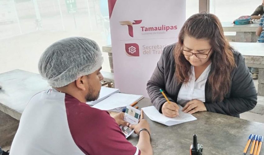 Coloca Servicio Nacional del Empleo a 40 tamaulipecos para trabajar en Sinaloa en labores agrícolas