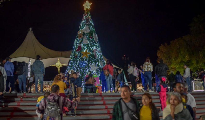 Ilumina pino navideño corazones de asistentes al Parque Tamatán