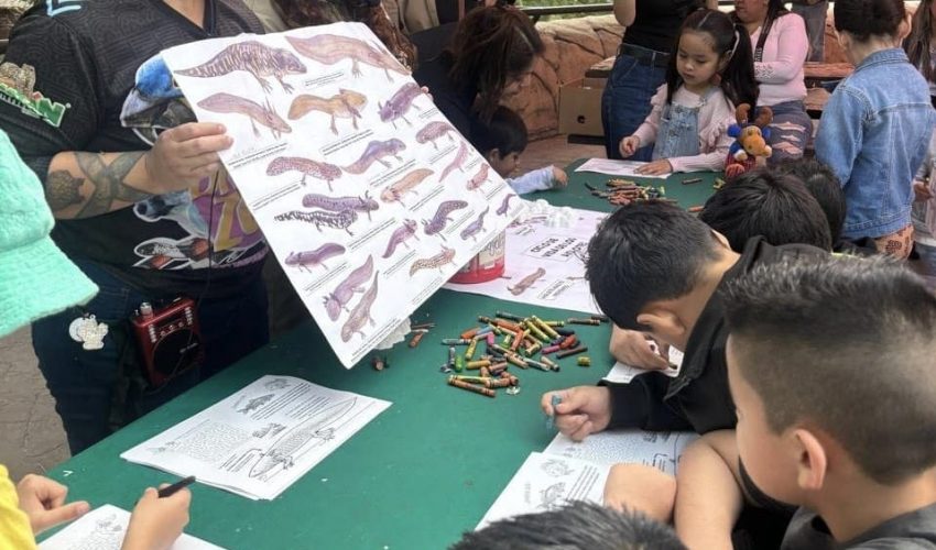 Inicia Comisión de Parques ciclo de talleres en sus recintos
