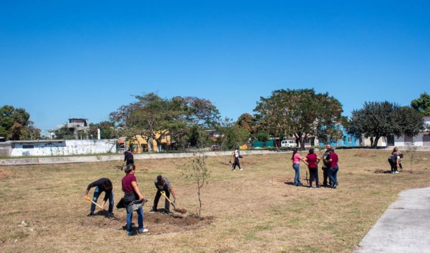 Fomenta la PAUT cultura ecológica con donación de árboles