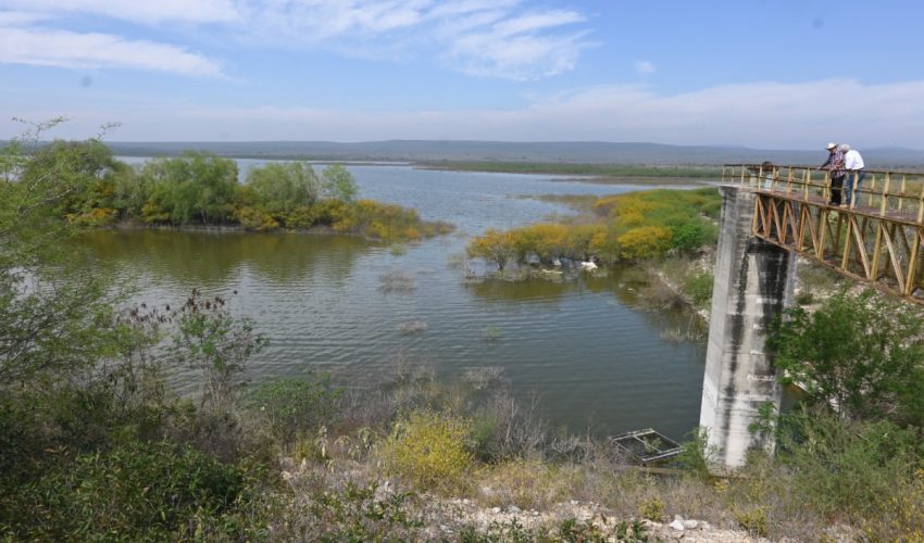 Recorre secretario de Desarrollo Rural unidad de riego “La Loba” en Jiménez