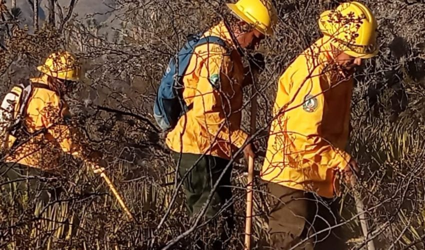 Refuerzan brigadistas de la SEDUMA combate a incendio de pastizales en Tula