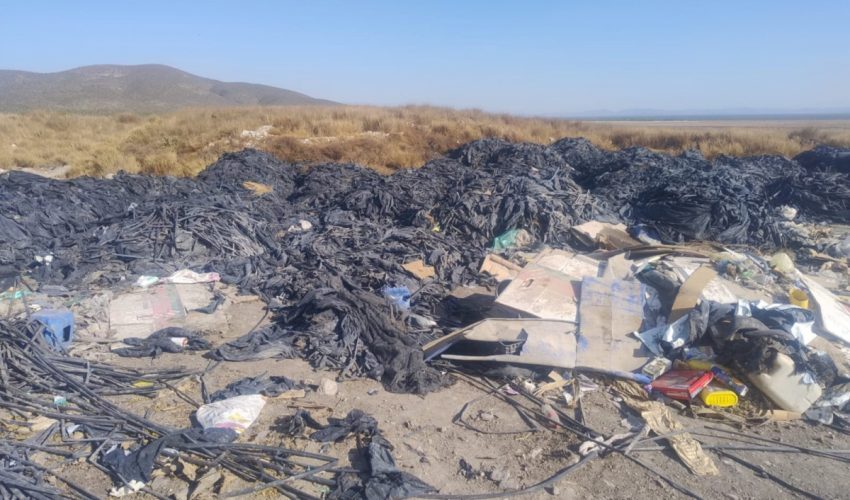 Incendio de pastizales en Tula fue provocado: PAUT