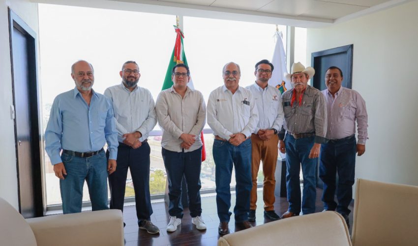 Proyecto de etanol transformará economía de sorgueros