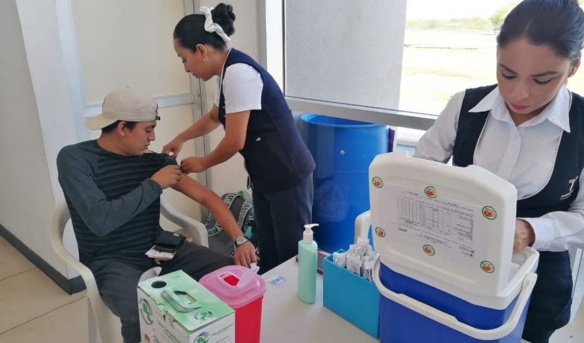 Define Salud acciones y estrategias para Primera Semana Nacional de Vacunación