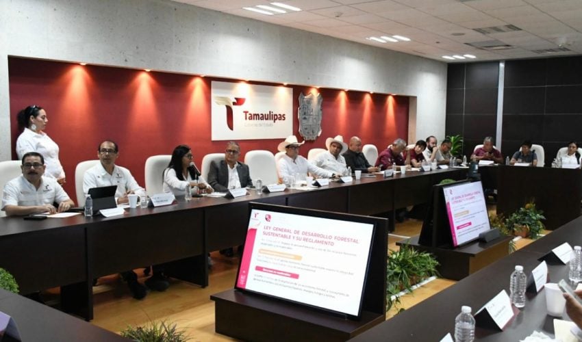 Promueven el crecimiento y formalización de las microempresas rurales