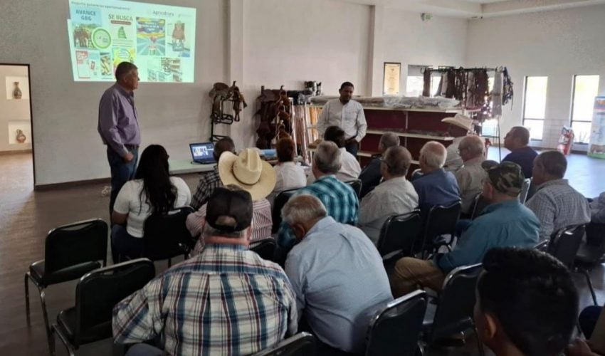Refuerza Tamaulipas acciones de sanidad animal ante declaratoria de zona libre del gusano barrenador