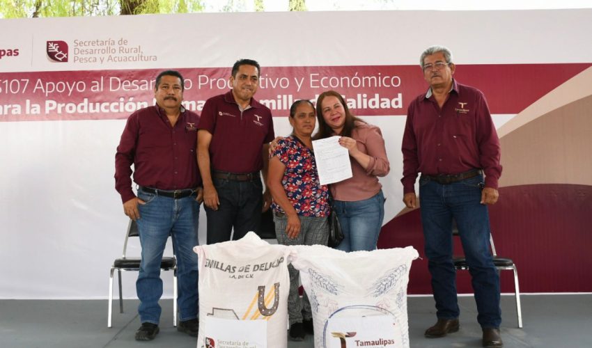 Fortalece Gobierno de Tamaulipas desarrollo agrícola en el altiplano con entrega de semilla de avena