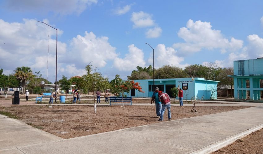 Participa SEBIEN en jornada de medio ambiente